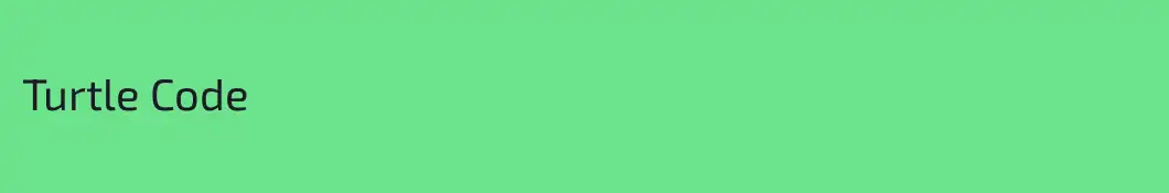 Turtle Code